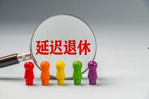 国产毛片久久久久久国产毛片,历史与现状的交织